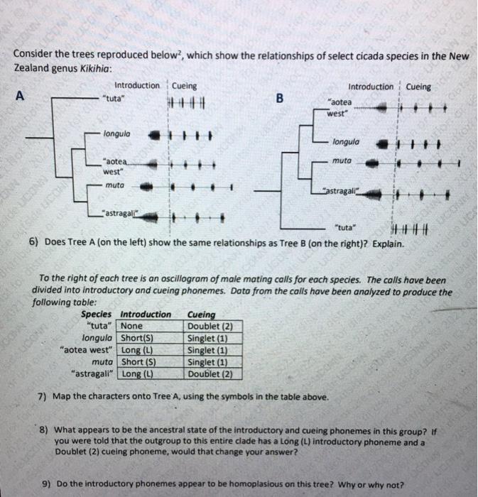 🎃 Sailor Portia 🎃 on X: The only family tree more convoluted