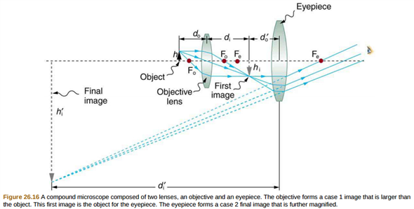 Solved 1. The microscope lens focal length used in ear