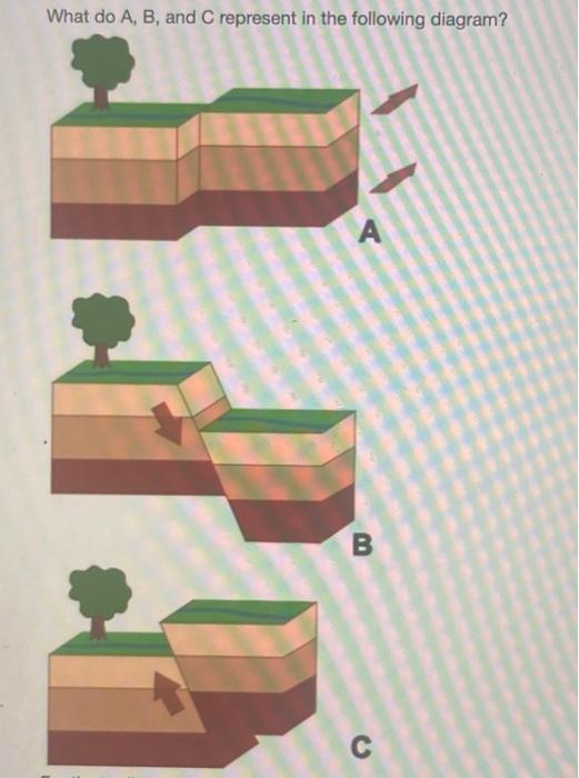 Solved What Do A, B, And Represent In The Following Diagram? | Chegg.com