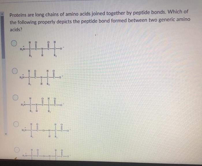 Solved Proteins are long chains of amino acids joined | Chegg.com