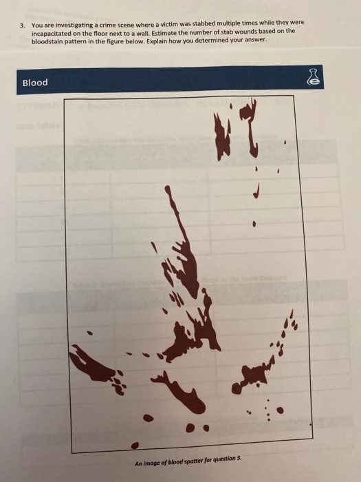 solved-3-you-are-investigating-a-crime-scene-where-a-victim-chegg