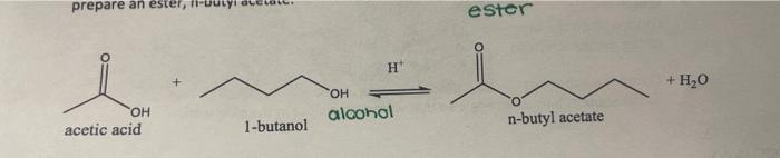 \( + \) \( +\mathrm{H}_{2} \mathrm{O} \) acetic acid
1-butanol aiconol
n-butyl acetate