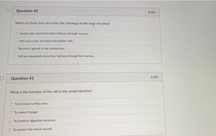 Solved Question 40 2 pts Which of these best describes the | Chegg.com