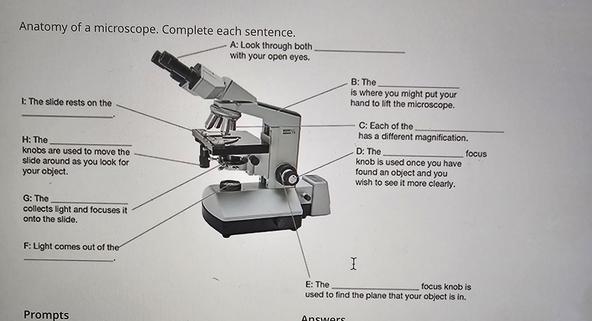 Solved Anatomy of a microscope. Complete each sentence.A