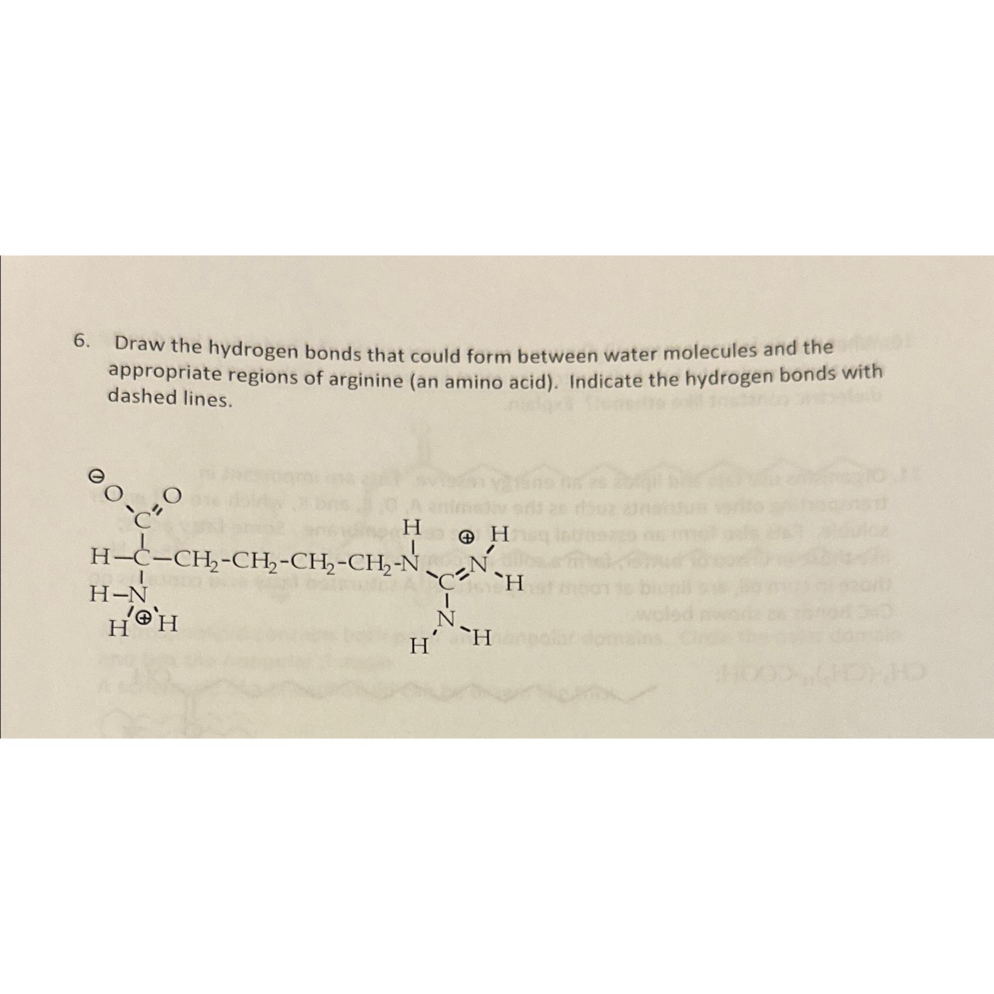 Solved Draw the hydrogen bonds that could form between water | Chegg.com