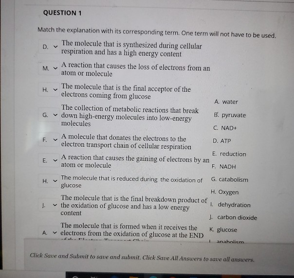 Solved QUESTION 1 Match the explanation with its | Chegg.com