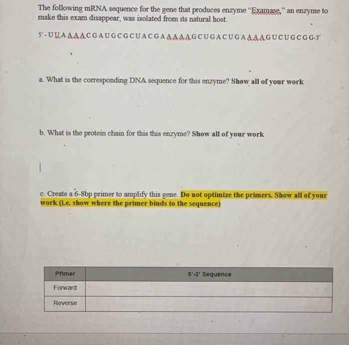 Solved The following mRNA sequence for the gene that | Chegg.com
