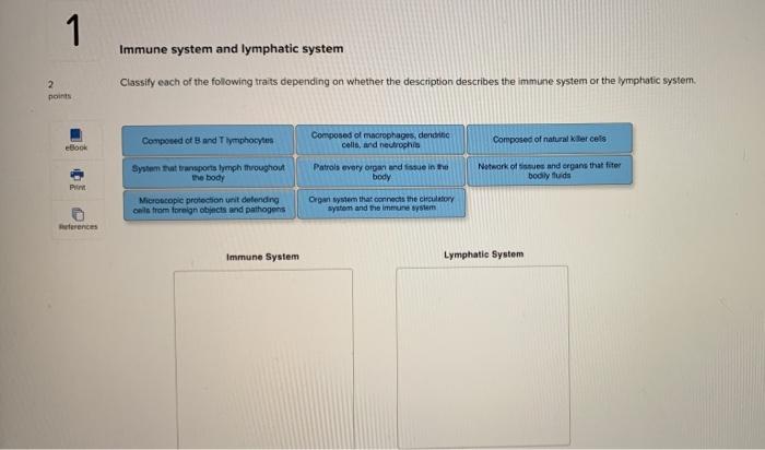 Immune system and lymphatic system
Classify each of the following traits depending on whether the description describes the i