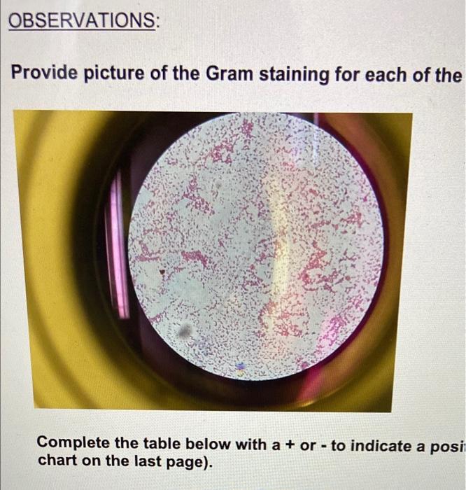 Solved Descriptive Chart Unknown MORPHOLOGICAL