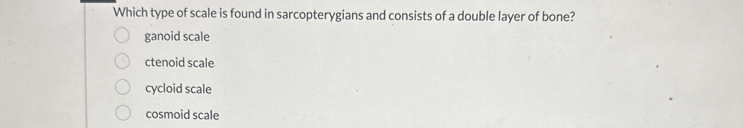 Solved Which type of scale is found in sarcopterygians and | Chegg.com