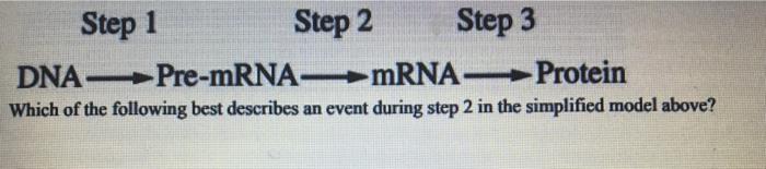 From Pre Mrna To Protein The Critical Initiation Step - 9ggicoa
