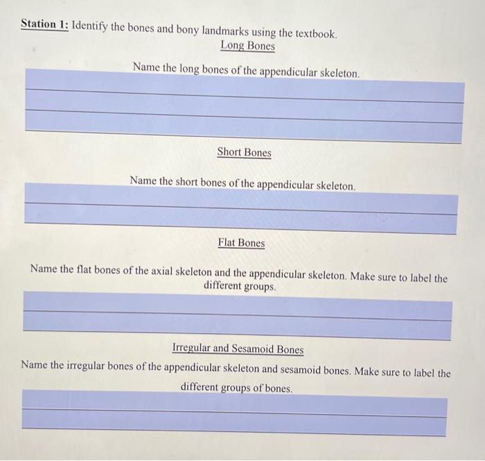 Solved Station Identify The Bones And Bony Landmarks Chegg Com