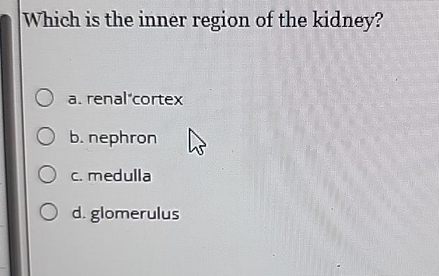 Solved Which is the inner region of the kidney?a. | Chegg.com