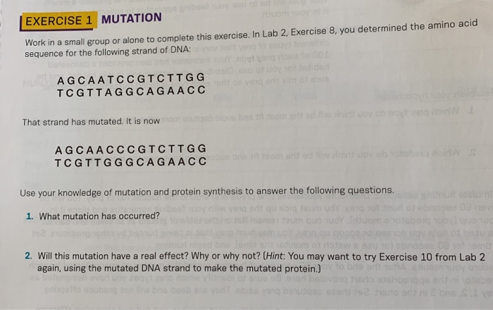 Solved EXERCISE 1 MUTATION Work in a small group or alone to | Chegg.com