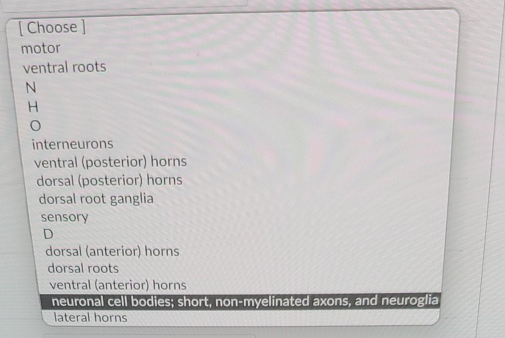 The Gray Matter Of The Cord Consists Of A Mixture Of Chegg the-gray-matter-of-the-cord-consists-of-a-mixture-of-chegg