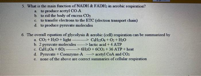 Solved A 5 What Is The Main Function Of Nadh And Fadh2 In