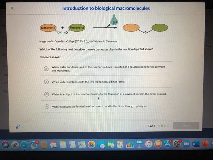 Solved х Introduction to biological macromolecules Monomer 1 | Chegg.com