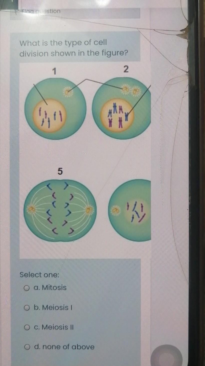 Solved FICO Cuestion What is the type of cell division shown | Chegg.com