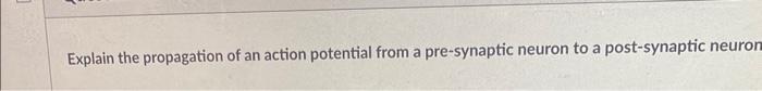 Solved Explain the propagation of an action potential from a | Chegg.com