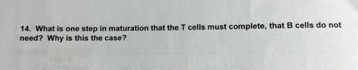 t cells complete their maturation in the
