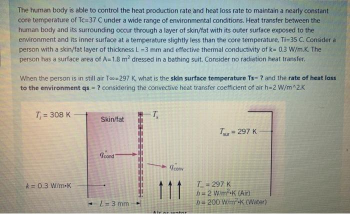 Solved The human body is able to control the heat production | Chegg.com