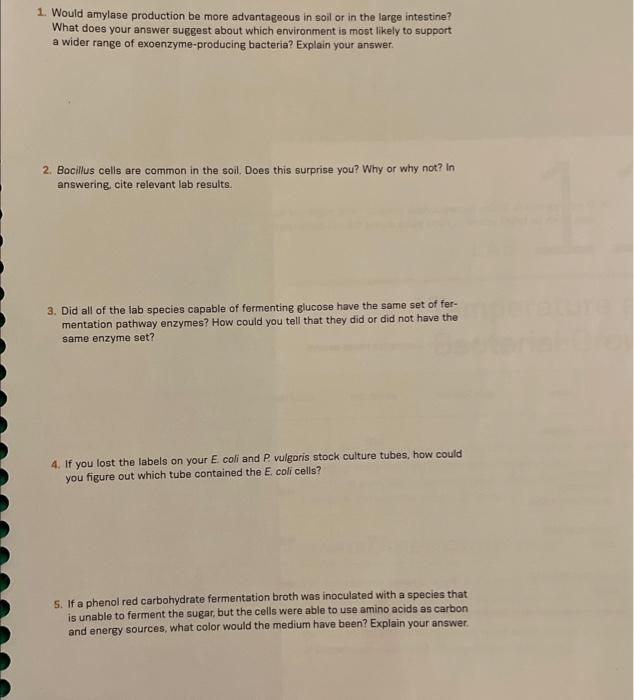 Solved MICROBIOLOGY!!!! - Please help answering these | Chegg.com
