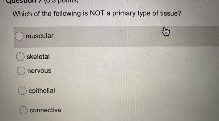 Solved Which of the following is NOT a primary type of | Chegg.com
