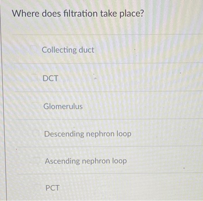 Solved Where does filtration take place? Collecting duct DCT