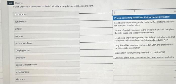 Solved 20 points Match the cellular component on the left | Chegg.com