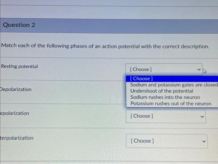 Solved Match each of the following phases of an action | Chegg.com