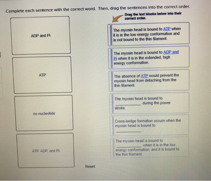 solved-complete-each-sentence-with-the-correct-word-then-chegg