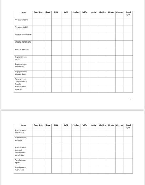 Microbiology Unknown Master List SPR21 Name Gram | Chegg.com