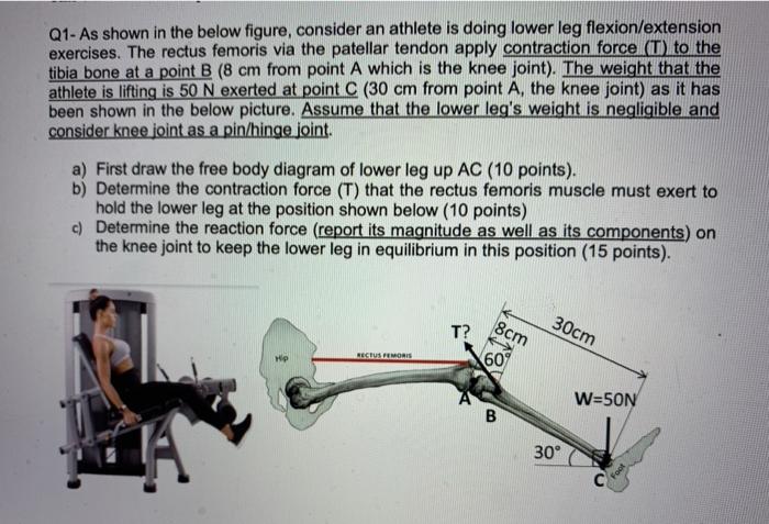 Solved Q1- As shown in the below figure, consider an athlete