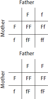 The Traits That Parents Pass On To Their Offspring Are Det Chegg Com