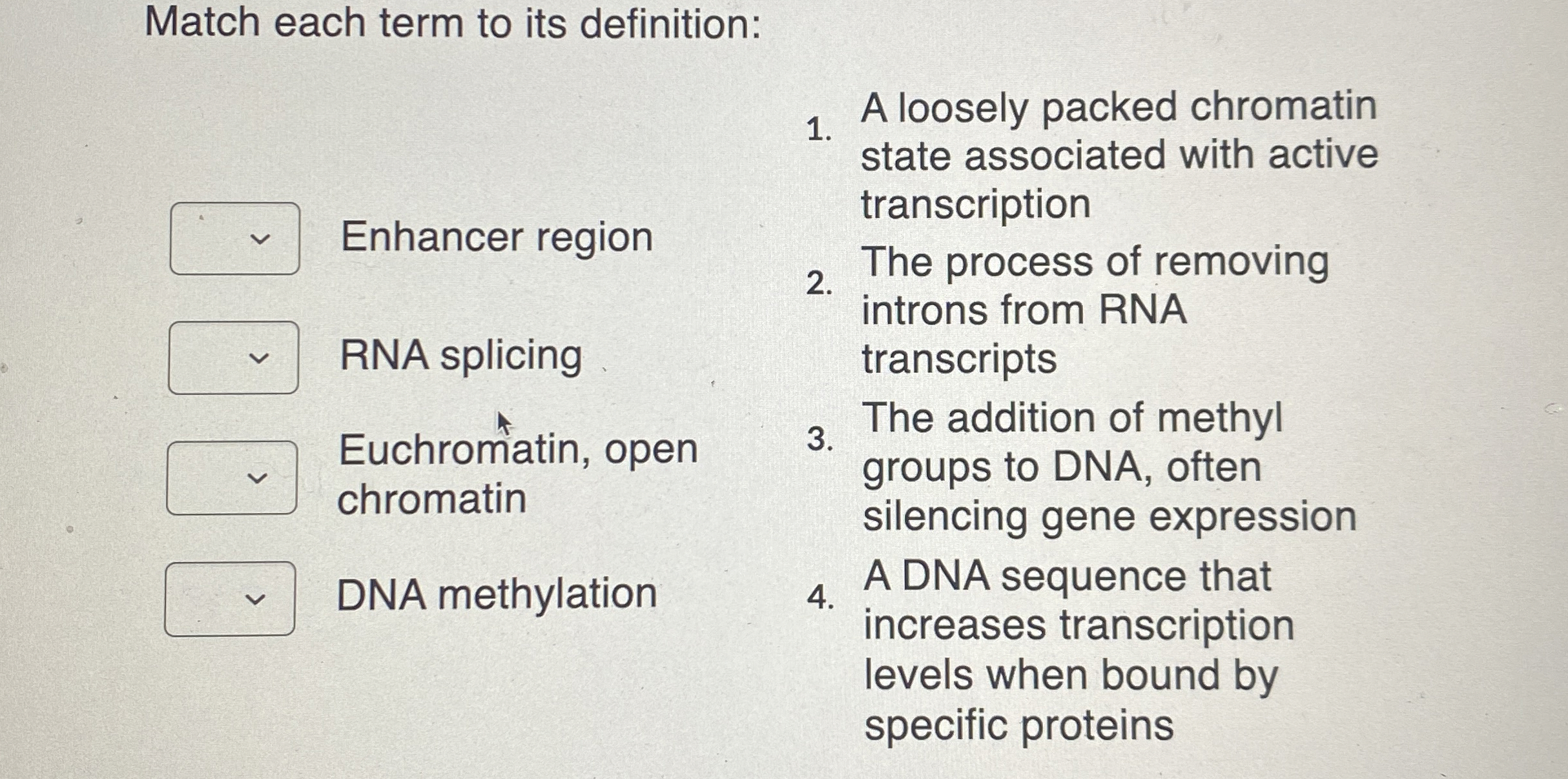 Solved Match each term to its definition: ﻿Enhancer region | Chegg.com