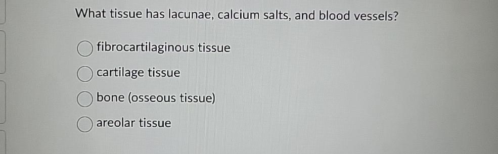 What Tissue Has Lacunae Calcium Salts And Blood Vessels