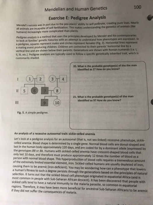 Solved 100 Mendelian And Human Genetics Exercise E: Pedigree | Chegg.com