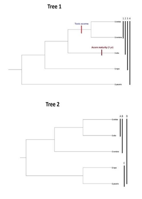 Solved In the figure from the previous question, assume tree | Chegg.com