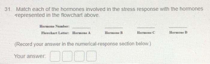 Solved Stress Response Flowehurt Stress Long-term response | Chegg.com