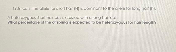 Solved 19. In cats, the allele for short hair (H) is | Chegg.com