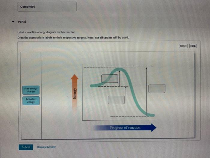 Solved Completed Part B Label a reaction energy diagram for | Chegg.com