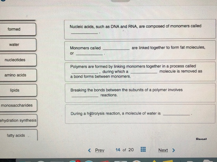 Solved formed Nucleic acids, such as DNA and RNA, are
