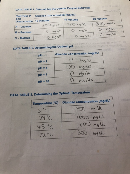 Solved Effect of pH of Lactase Activity Effect of pH on
