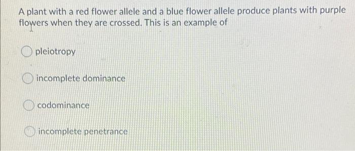 Solved A plant with a red flower allele and a blue flower | Chegg.com