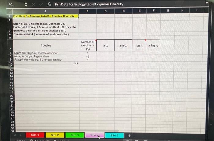 Lab Report Your lab report for Assignment 3 will | Chegg.com