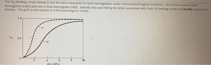 Solved The O2 binding curves below (X and W) were measured | Chegg.com