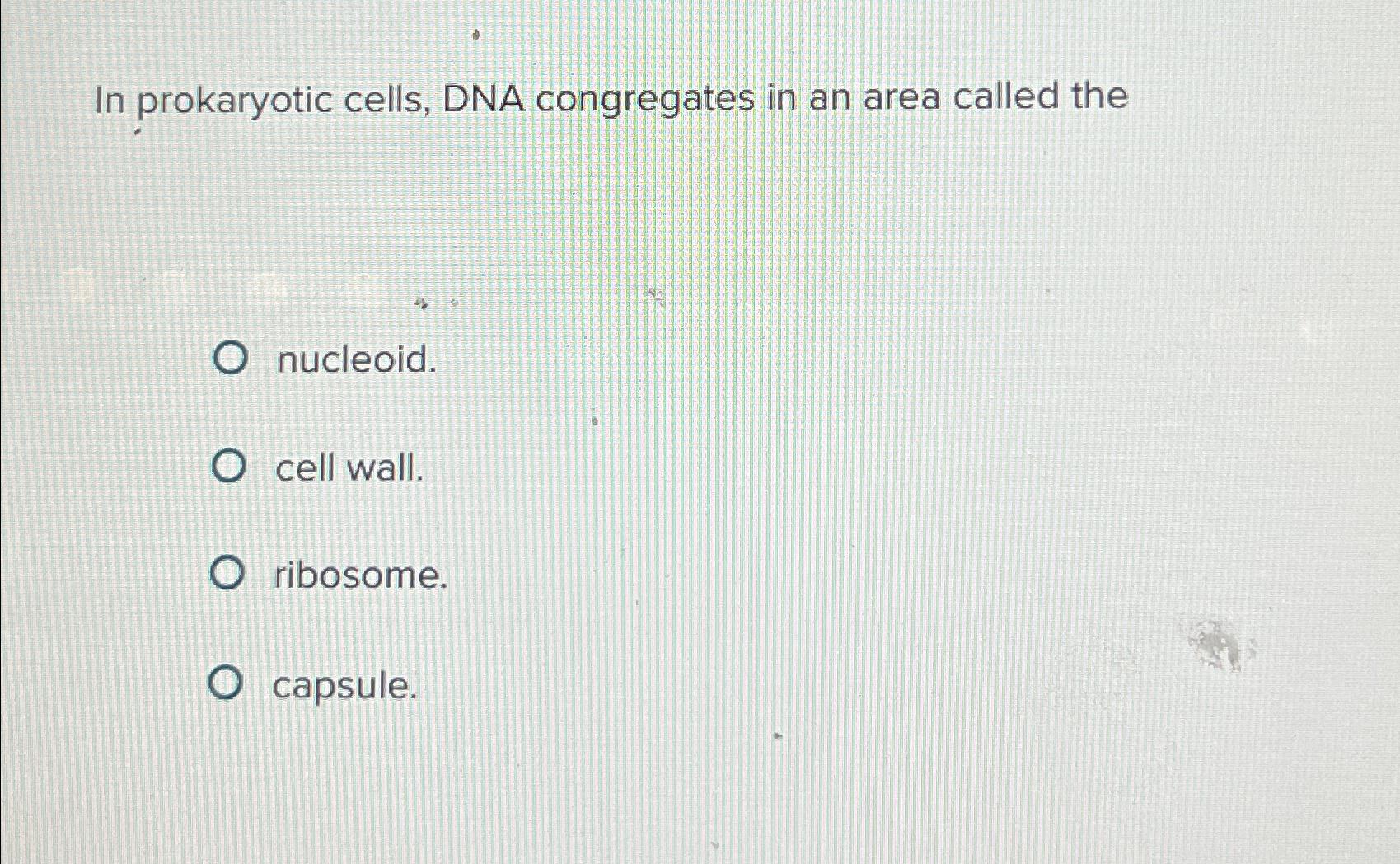 Solved In prokaryotic cells, DNA congregates in an area | Chegg.com