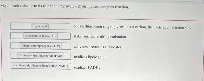 Solved Match each cofactor to its role in the pyruvate | Chegg.com