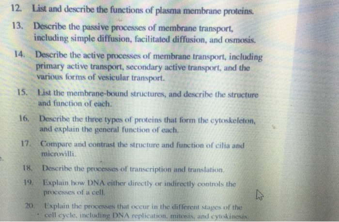 describe the possible functions of proteins in the plasma membrane