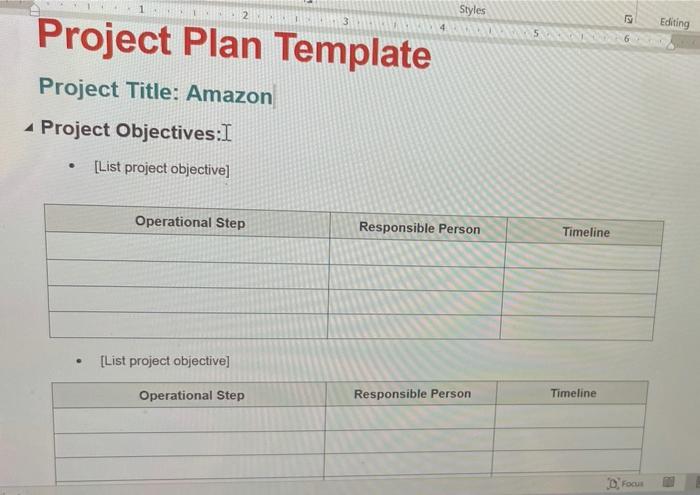 2 Styles 3 9 Editing Project Plan Template Project | Chegg.com